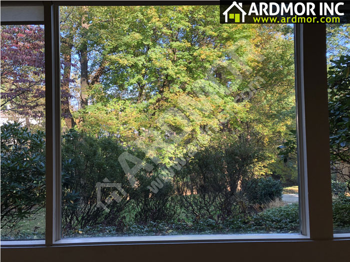 Wood_Window_Foggy_Glass_Replacement_in_Lower_Merion_Township_PA_after